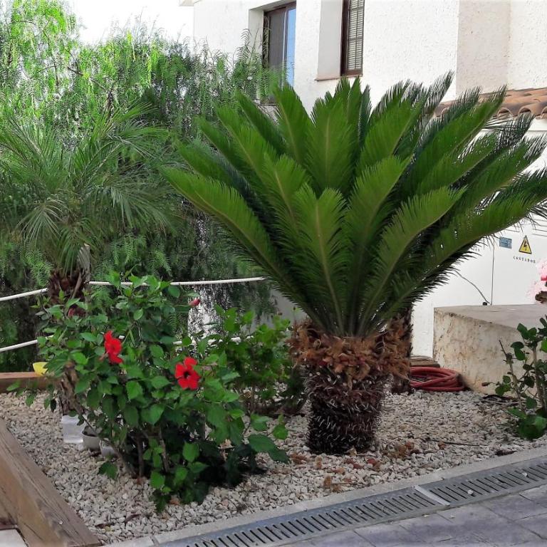 Olivos Holiday Home - Casa Unifamiliar de 2 dormitorios - 33