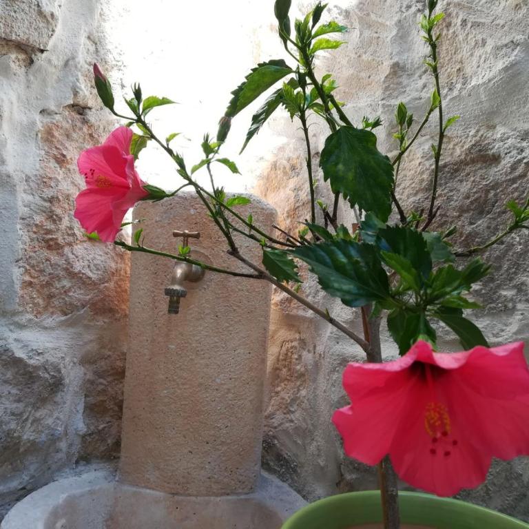 Marene Residence - Monolocale Ampio su 2 Livelli - 13