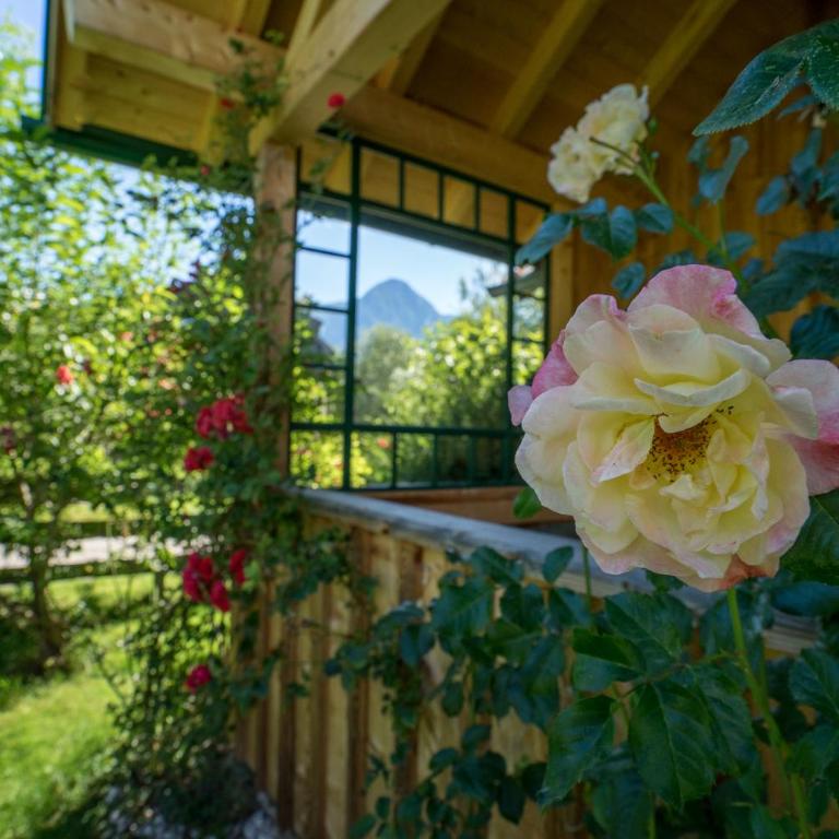 Ausseer Chalet (nahe Hallstatt), Ferienhaus - Chalet 4 Chambres - 8