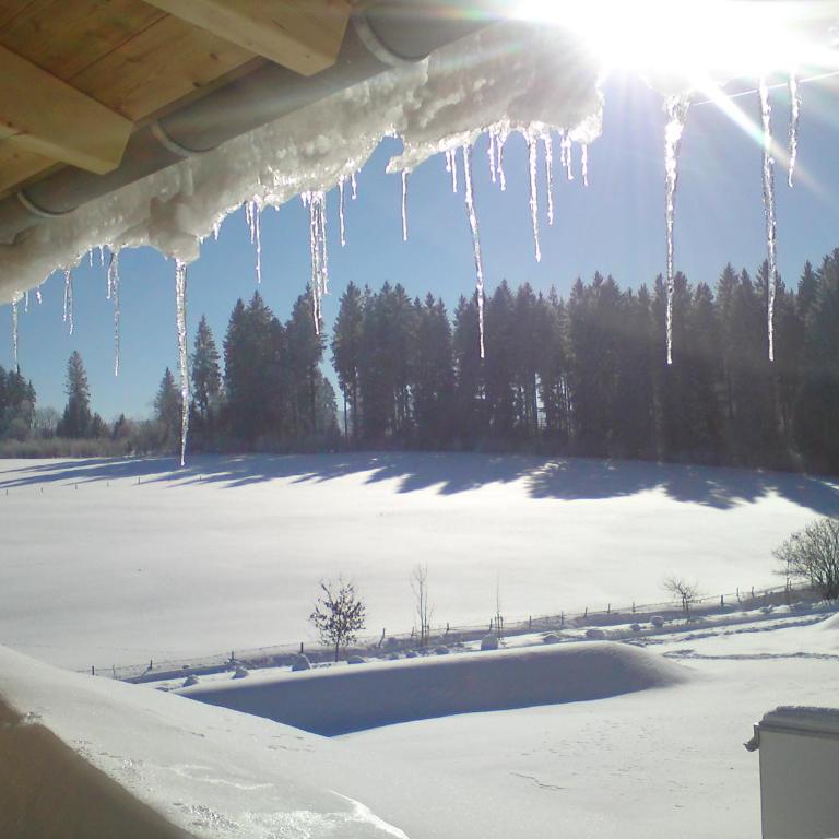 ALLGÄU HAUS - Appartamento con Terrazza - 3