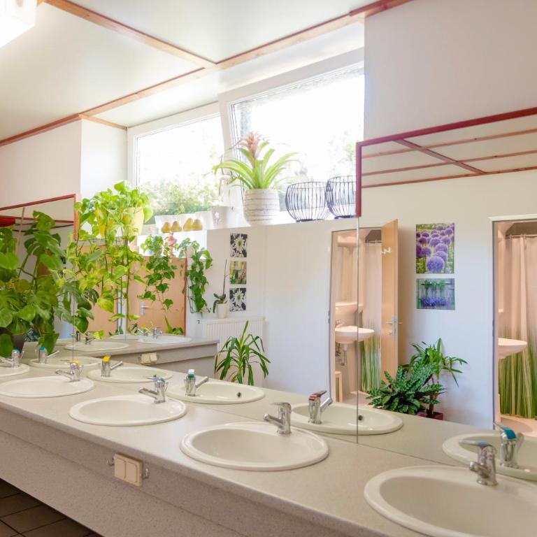 Bett&Bike Fisching adults only 30plus - Cottage mit Gartenblick - 4