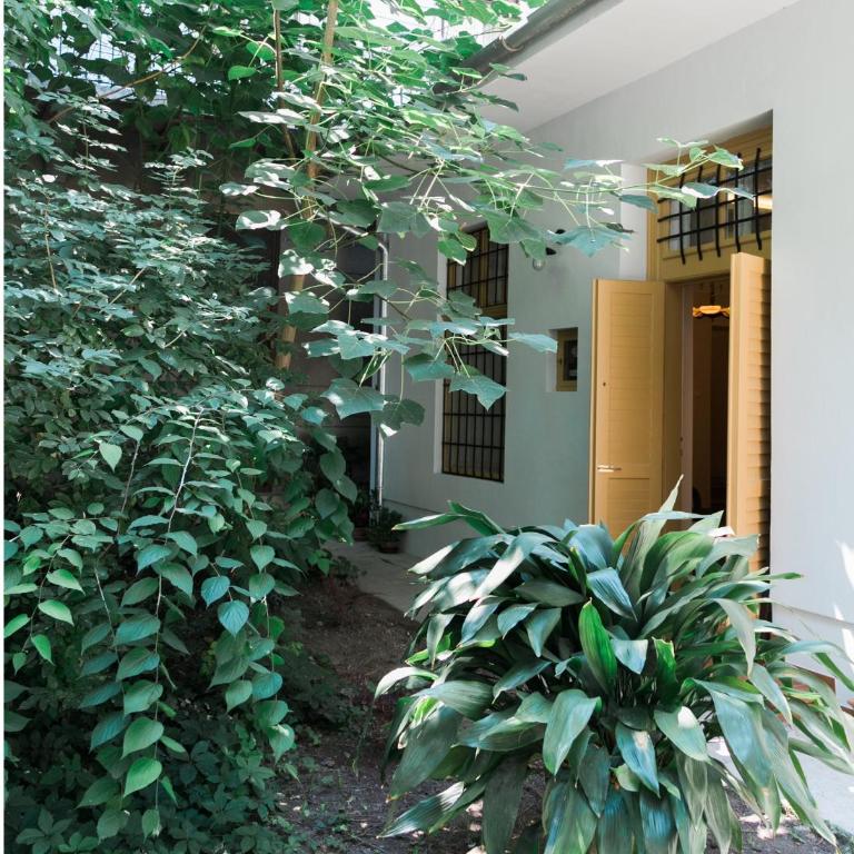 Kolar Apartment - Apartment - Ground Floor - 18