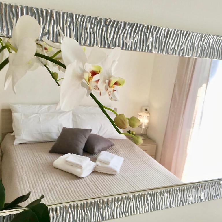 Orchidea in Centro - Appartamento - 1