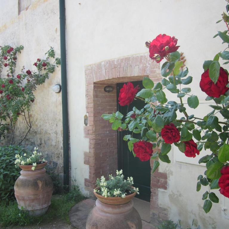 La Locaia - Casa Vacanze - 14