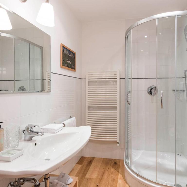 Saleghes Dolomites Residence - Appartamento Superior con 1 Camera da Letto con balcone o giardino - 1