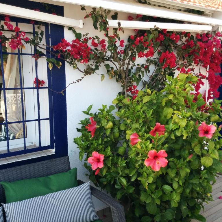 El Vivero del Mar Menor - Casa de 4 dormitorios - 38