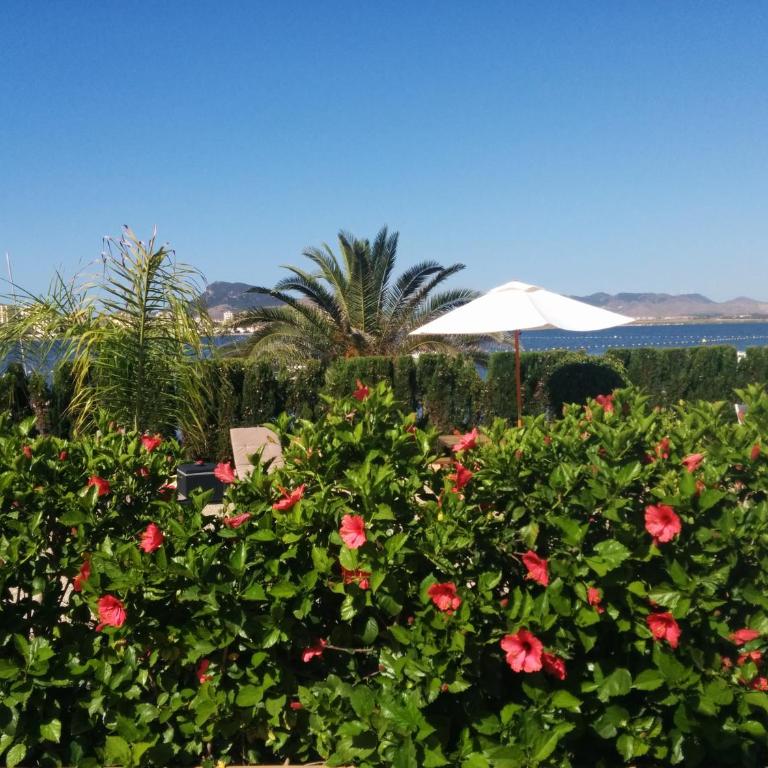 El Vivero del Mar Menor - Casa de 4 dormitorios - 40