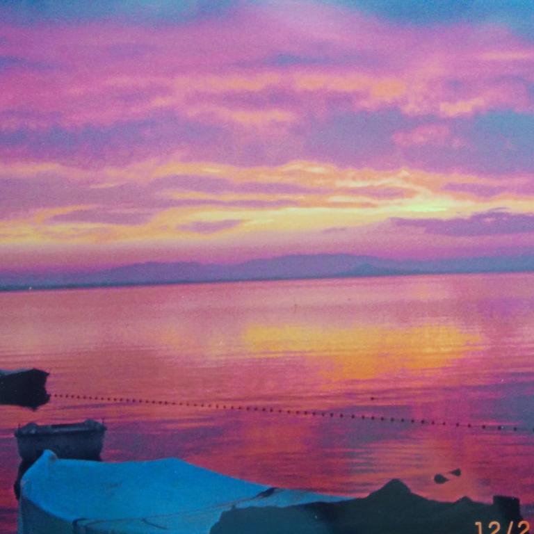 El Vivero del Mar Menor - Casa de 4 dormitorios - 27