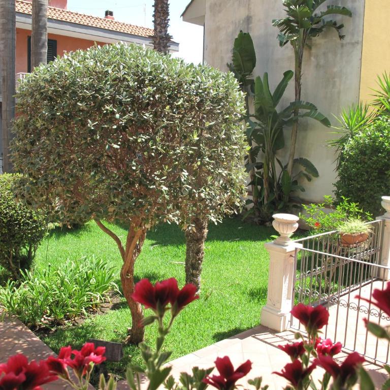Sicily for you Apartment - Appartamento con 1 Camera da Letto - 1