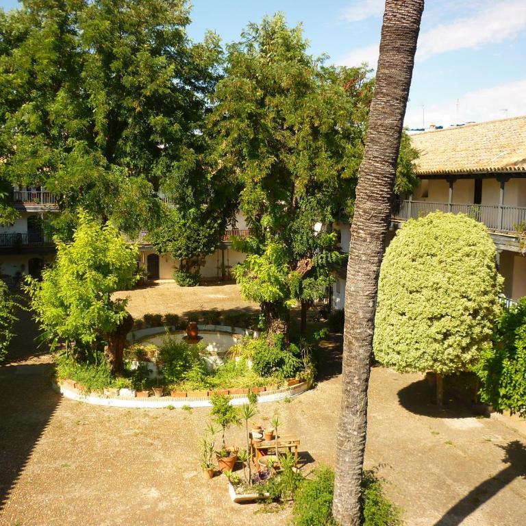 Un Oasis en el Corazón de Sevilla - Apartamento Superior - 6