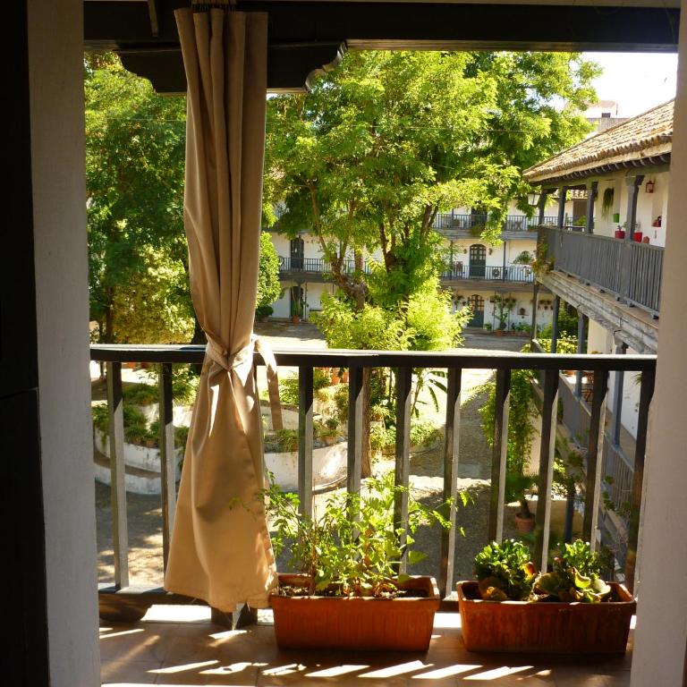 Un Oasis en el Corazón de Sevilla - Apartamento Superior - 17