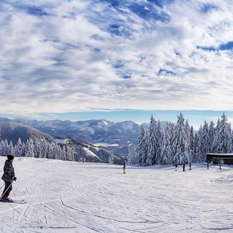 Stadtzentrum Mariazell - Studio Apartment - 28