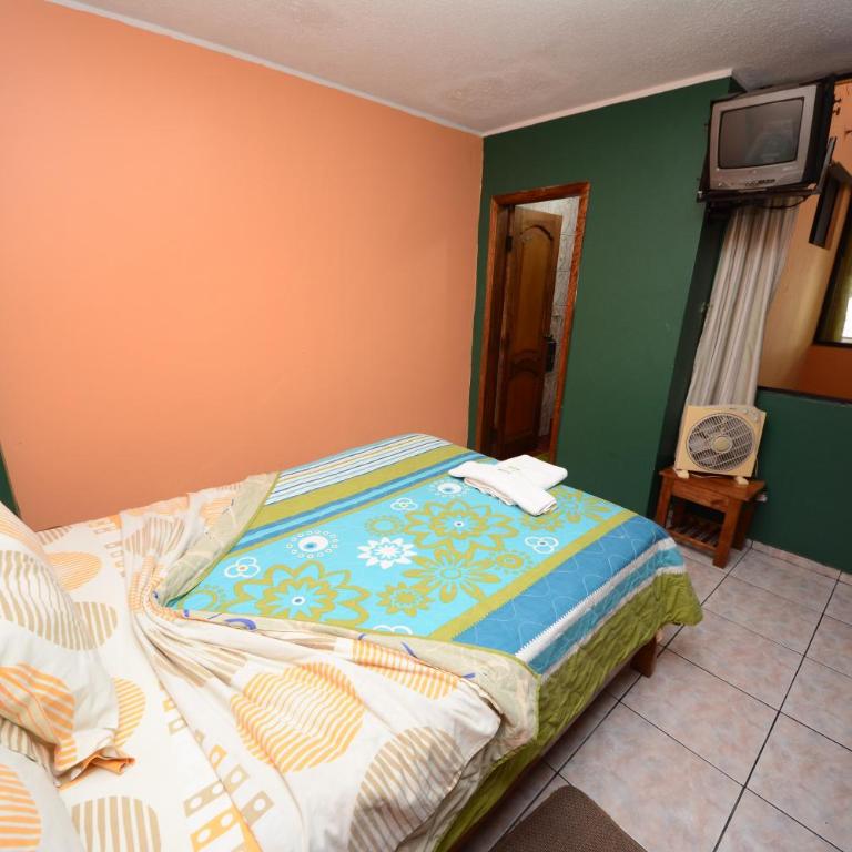 Hostal Puyo - Habitación Individual - 1