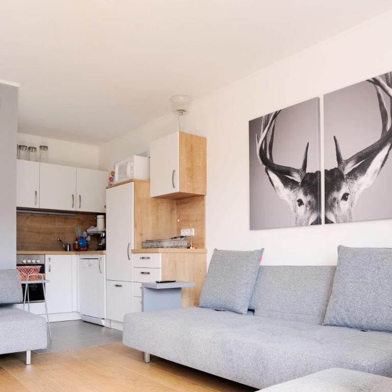 Apartment Bergjuwel - Appartamento Deluxe - 50