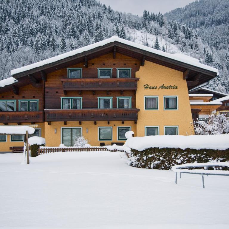 Haus Austria - Appartement 1 Chambre - 14