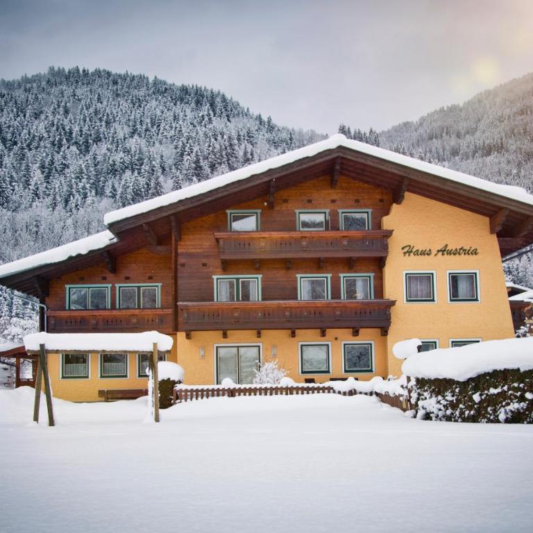 Haus Austria - Appartement 1 Chambre - 17