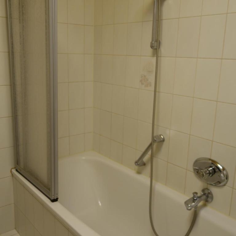 Landhaus Schmittenblick - Studio-Apartment - 8