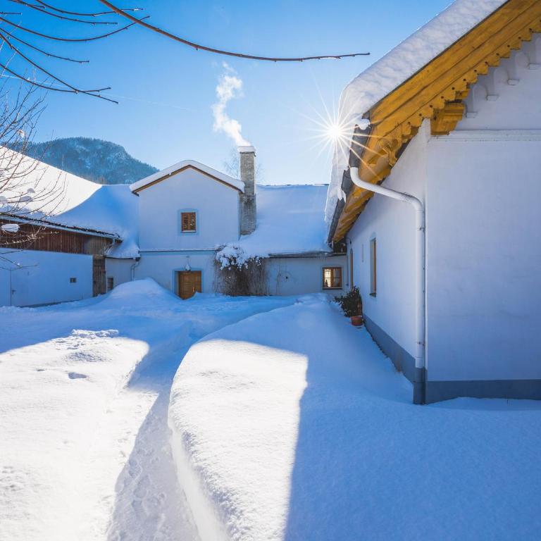 Ferienwohnungen Mariazell - Appartamento con 3 Camere da Letto - 42