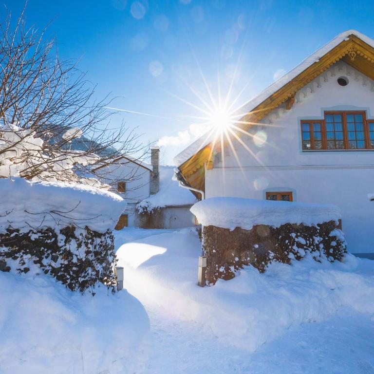 Ferienwohnungen Mariazell - Appartamento con 3 Camere da Letto - 41