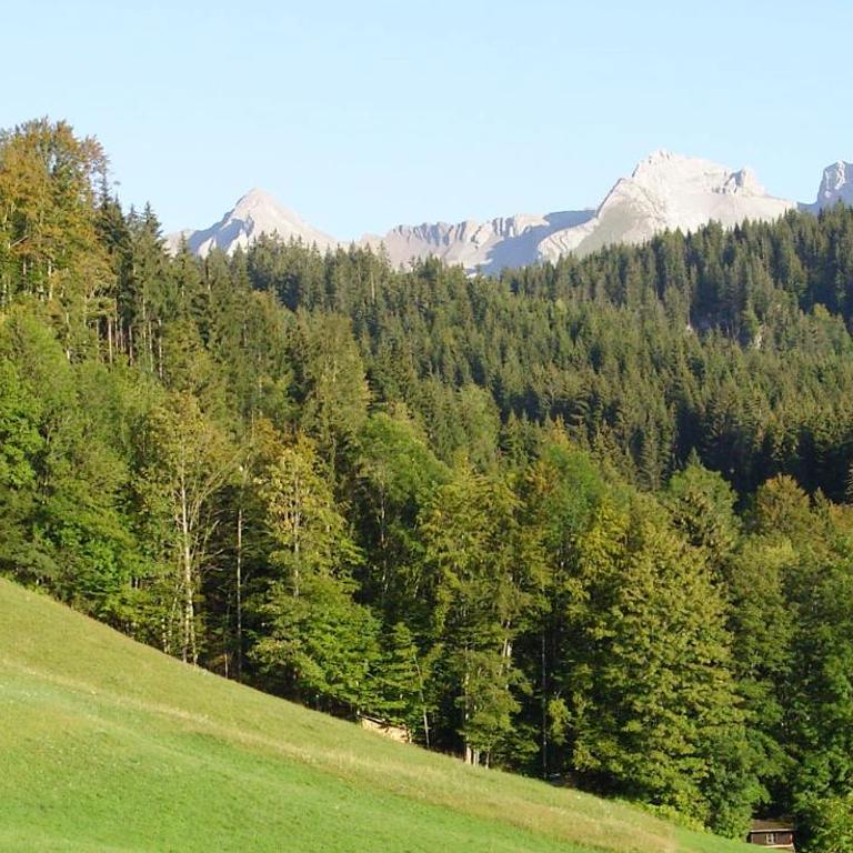 La Clusaz - Saint-Jean de sixt - Chalet mit 3 Schlafzimmern - 29