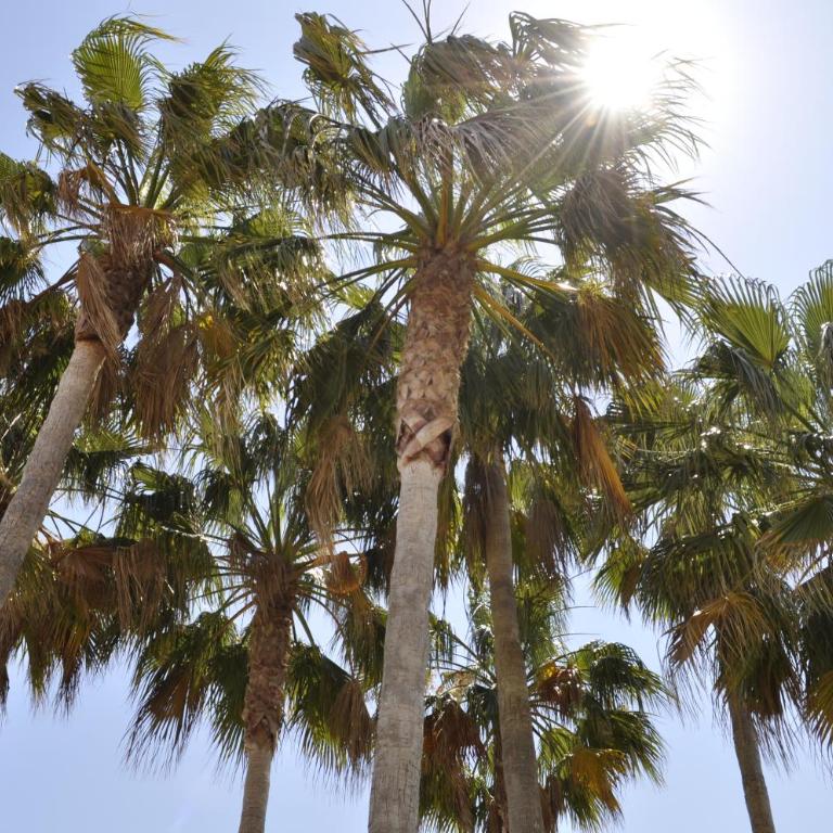 Family Beach Club Sevilla II - Apartamento con vistas al jardín - 24