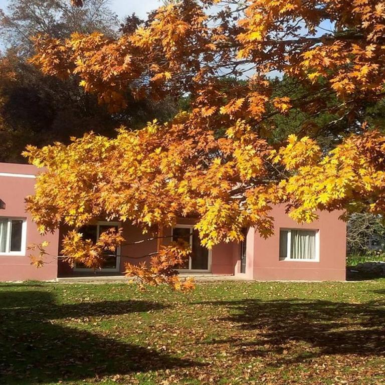 Casa de Campo y Hostería La Masía - Suite Familiar - 3