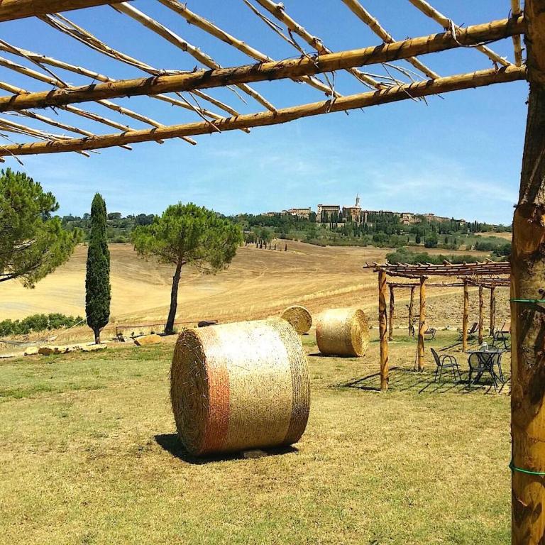 Agriturismo Il Casalino - Appartamento con Vista Giardino - 15