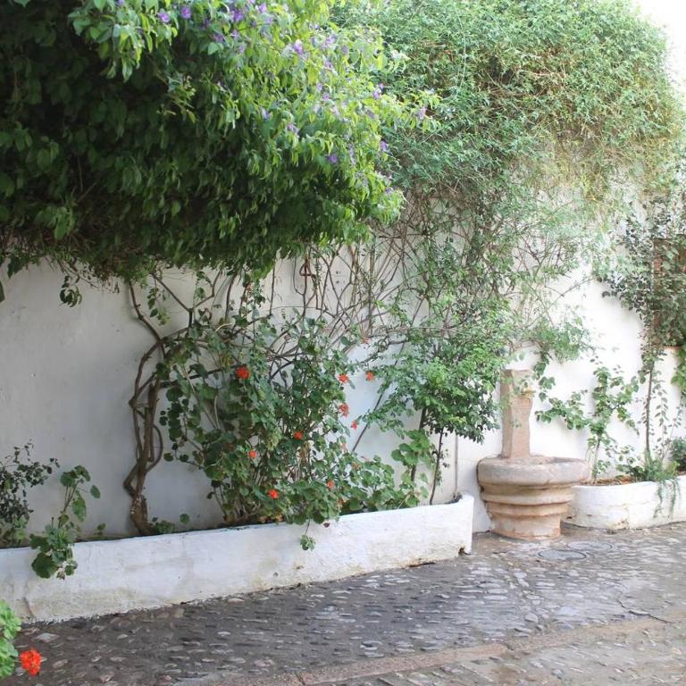 La casita de la ciudad - Casa Unifamiliar de 3 dormitorios - 2