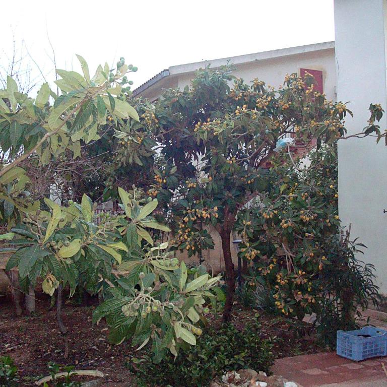 casa del sole - Ferienhaus - 28