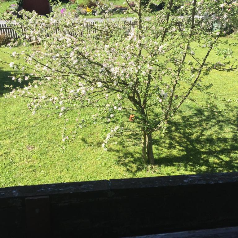 Schönes Wohnen am Sonnenhang - Ferienhaus - 43