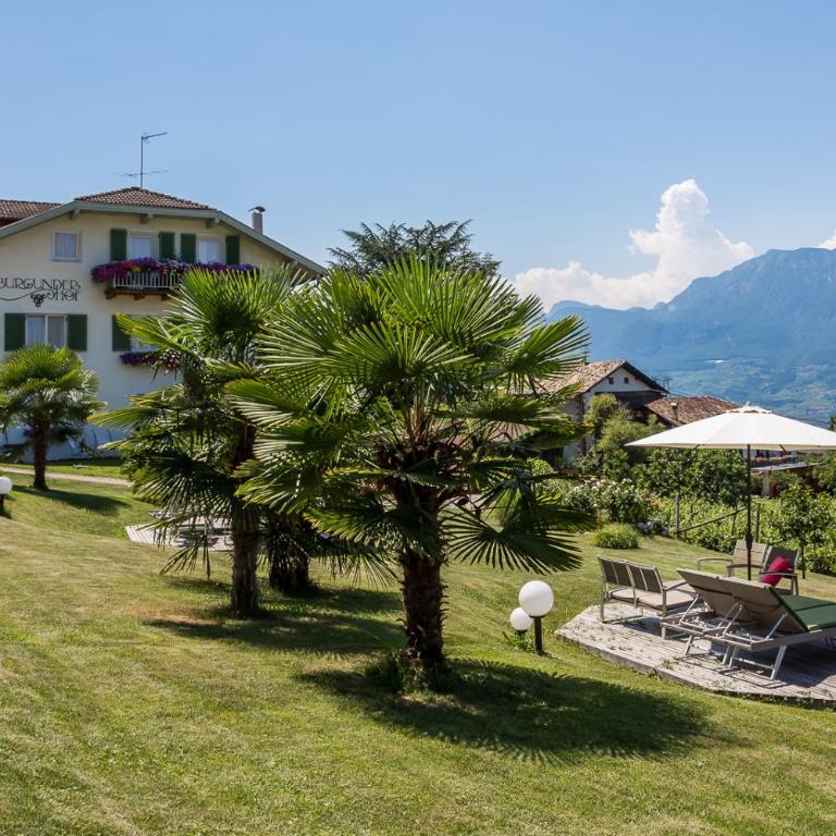 Burgunderhof - Appartamento con Balcone - 11