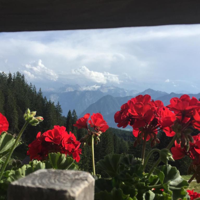 Appartements im Forsthaus Wunderbar ruhige Ferienwohnungen in Strobl am Wolfgangsee im Forsthaus - Apartment mit 2 Schlafzimmern und Balkon - 8