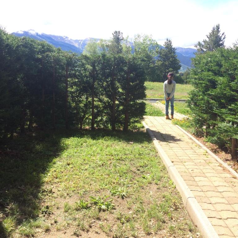 Le Jardin de Font Romeu - Appartement - Rez-de-Chaussée - 16