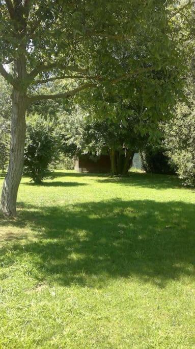 casa pietra del sole - Villa con Piscina Privata - 94