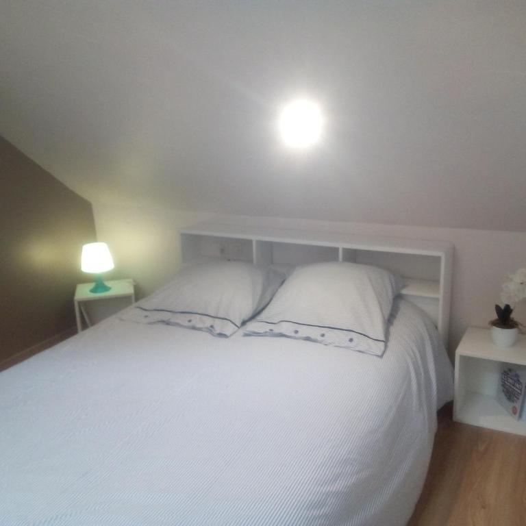 Lumineux T2 Vieille ville 3pers parking gratuit - by La Source d'OrFée - Appartement 1 Chambre - 15