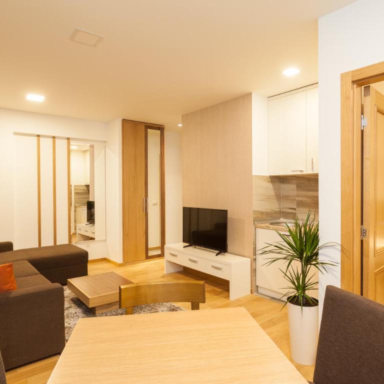 Vila Borova Zlatibor Apartments - Apartman sa 1 Spavaćom Sobom - 2