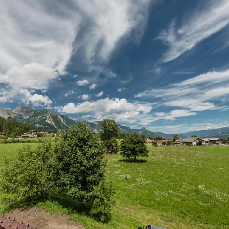 Naturchalet Höflehner - charming Hideaway & Summercard - Apartment mit 2 Schlafzimmern - 19
