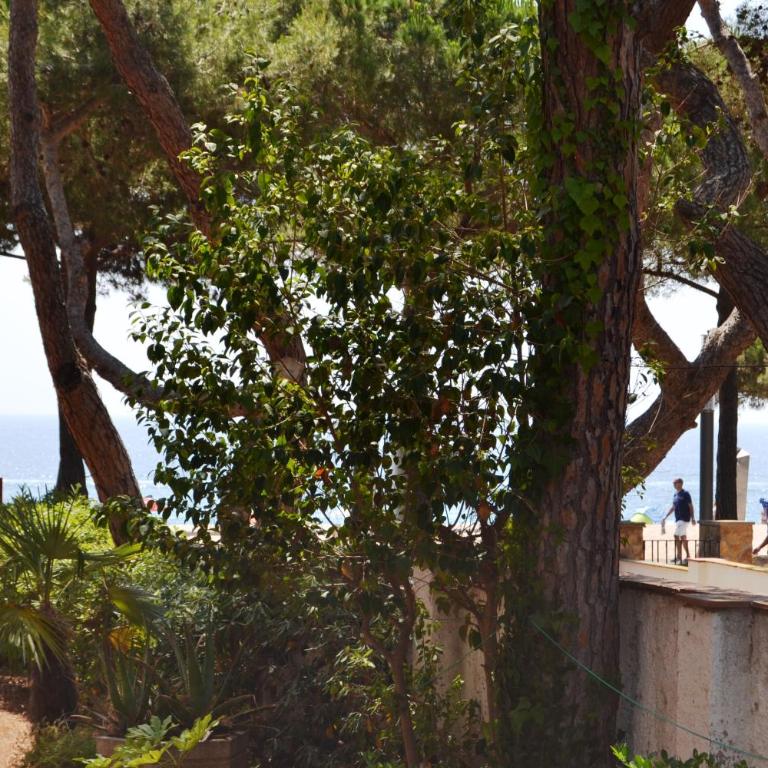 Apartamento con Jardín Platja d'Aro - Apartamento con vistas al mar - 32