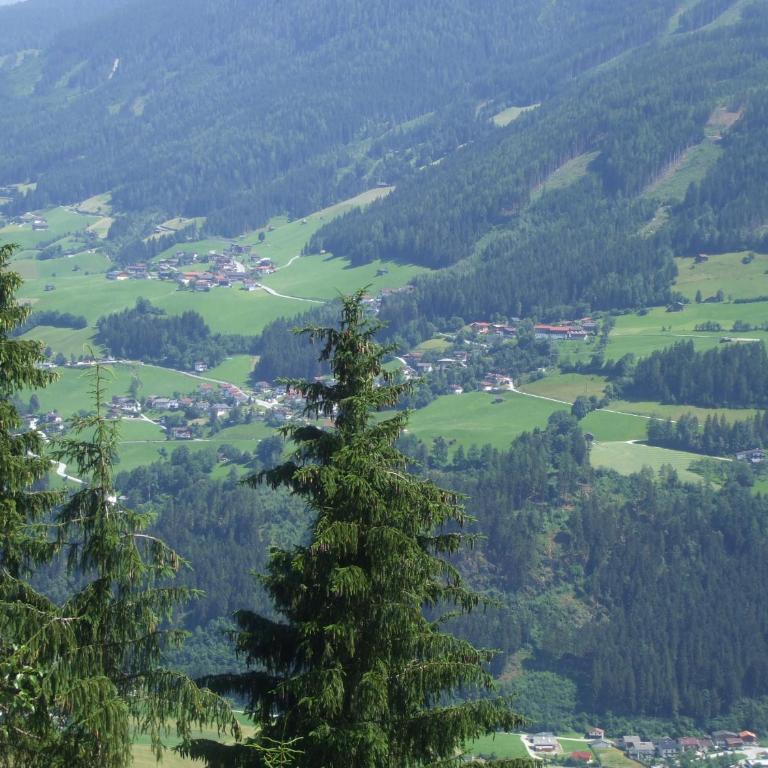 Bloserhof Kaschmann - Apartment mit 2 Schlafzimmern - 16