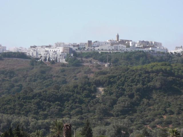 Apartamento la Cañada - Apartamento - 2 niveles - 48