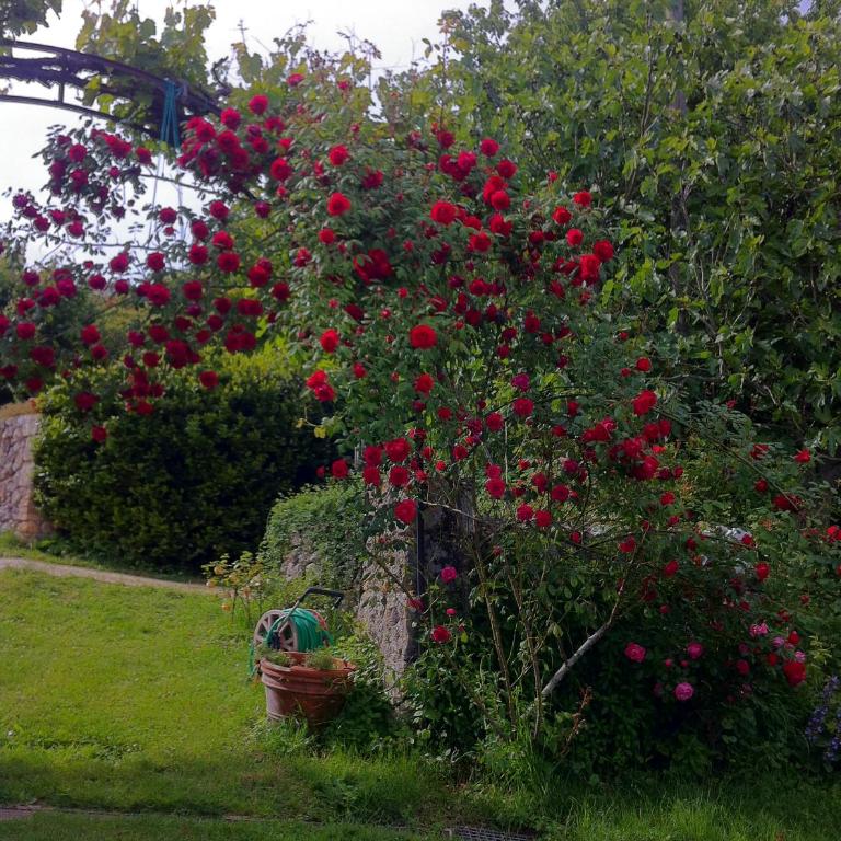 La Locaia - Casa Vacanze - 61