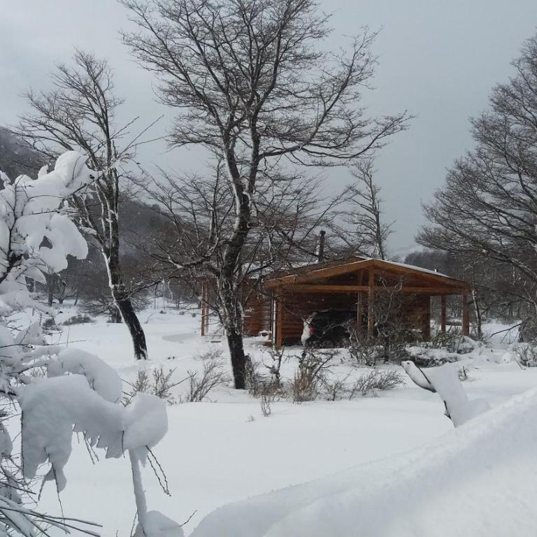 Cabañas Tunquelen Malalcahuello - Chalet - 1