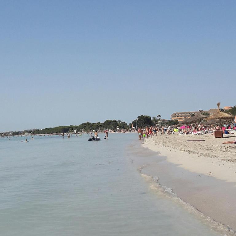 Beach Apartment Minerva - Apartamento con vistas al mar - 15