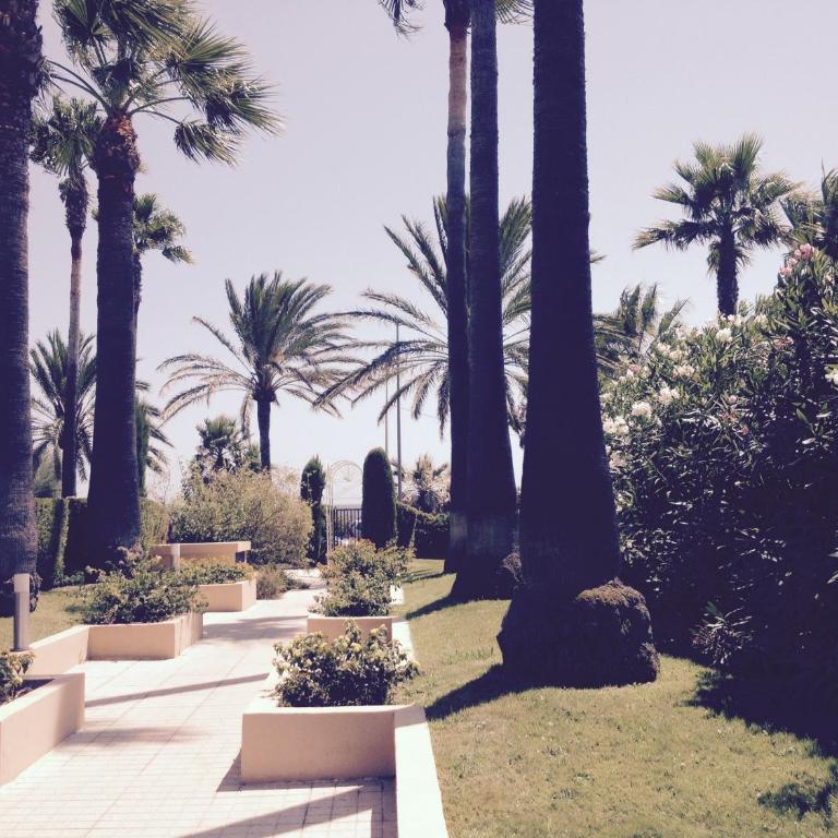 Cannes Terrace Beach Front & Sea view - Apartment mit Terrasse - 86