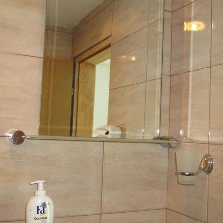 Guest House Baranin Pitomine - Studio with Twin Bed and Terrace - 13