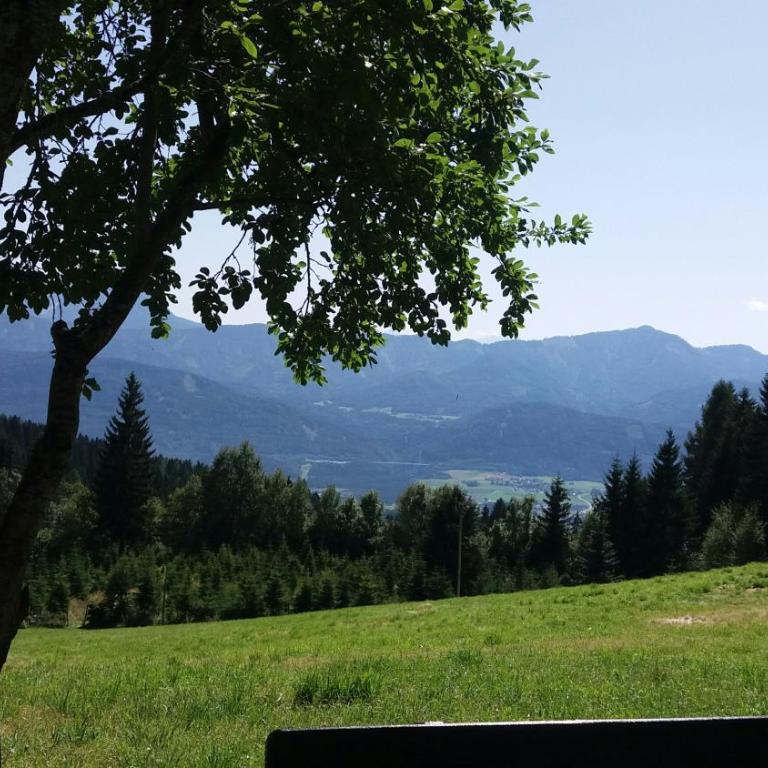 idyllischer Landhof Bär Nähe Millstättersee Ferienwohnung mit Balkon - Apartment mit Blick auf die Berge - 4