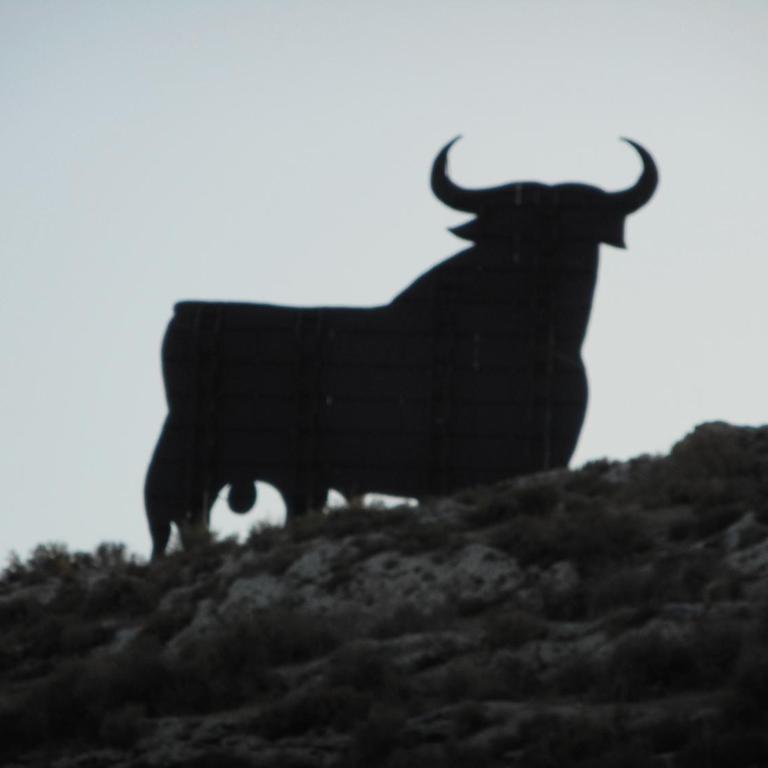 Casa Tesoro - Casa - 34