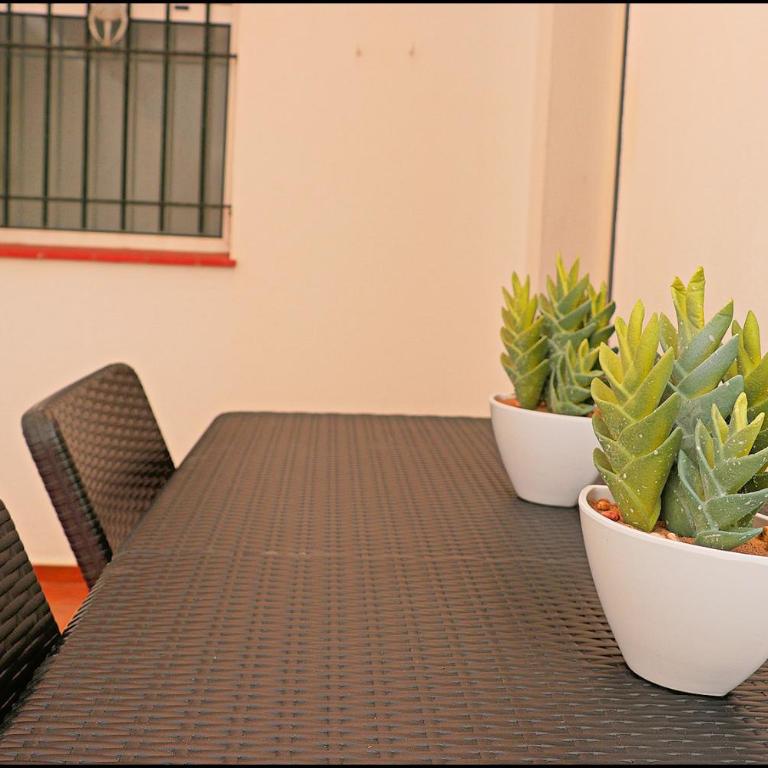 Apartamento Santa Teresa de Jesus - Apartamento - 2