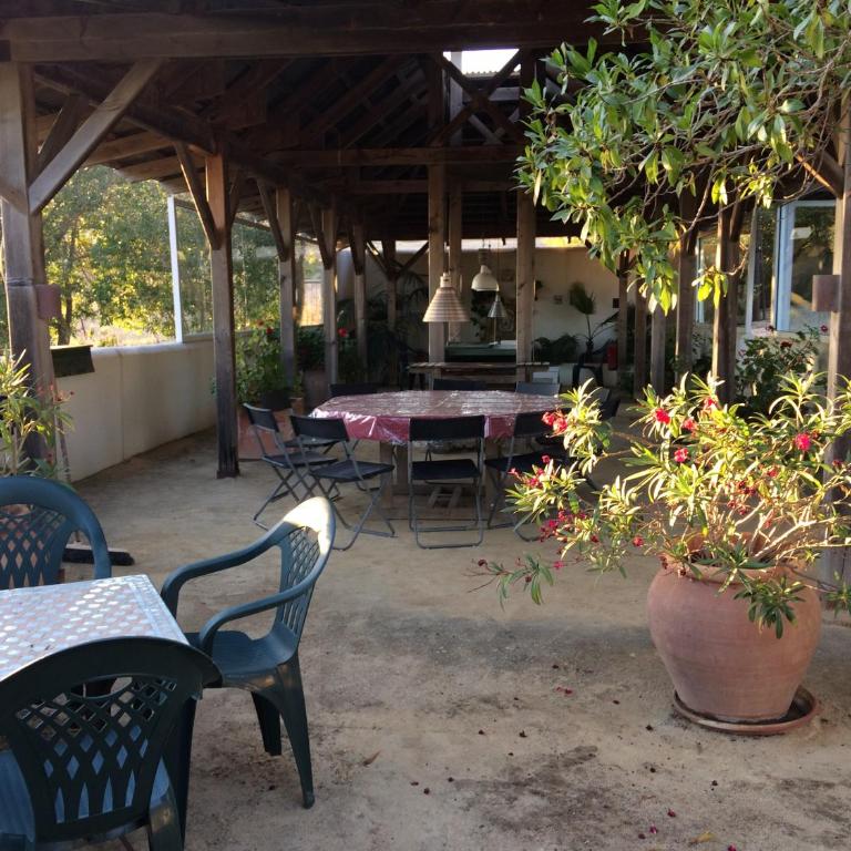 Finca Solivent Ocean View - Apartment mit Poolblick - 22