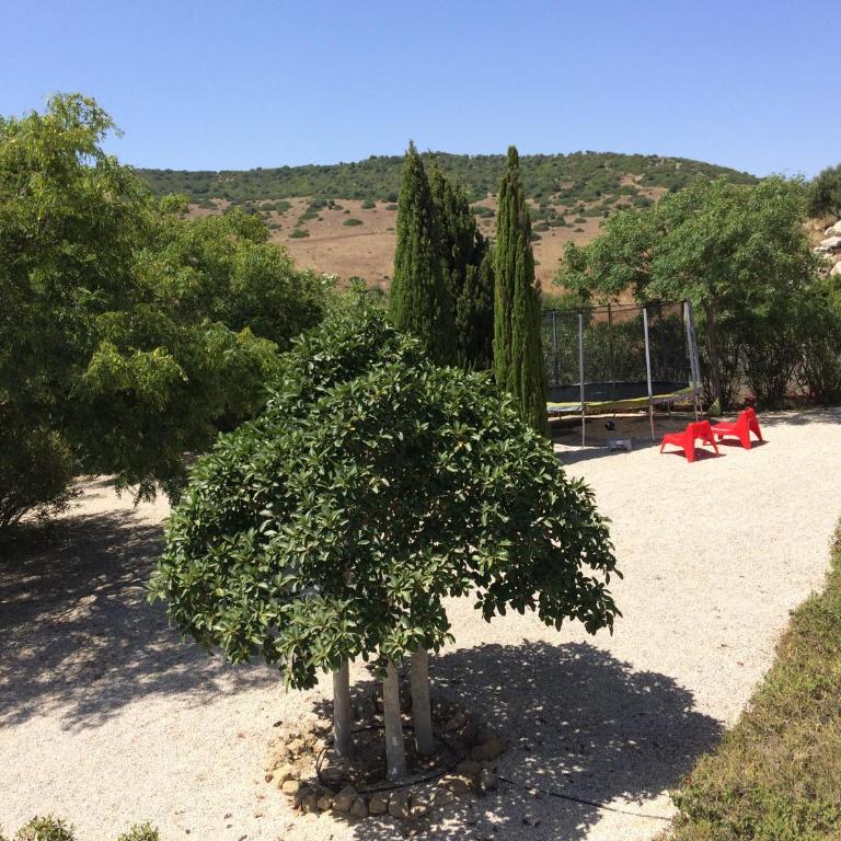 Finca Solivent Ocean View - Apartment mit Poolblick - 20